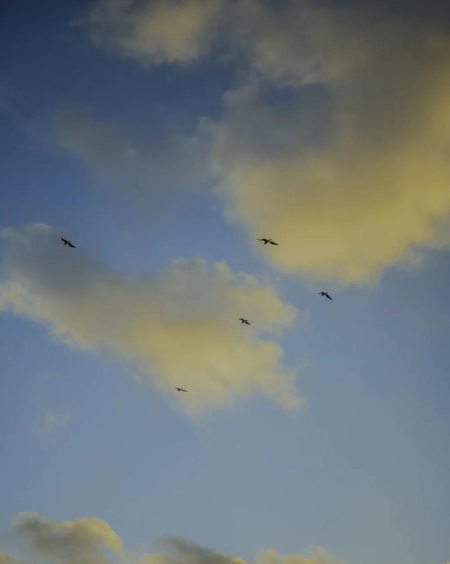 橙黄色代表什么象征意义【橙黄色是什么颜色加什么颜色】