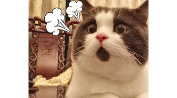 小学学籍号怎么查询系统【小学学籍号怎么查不到】