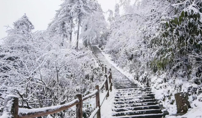 千树怜【千树万树梨花开全诗作者及意思】