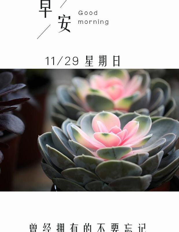 健康励志的句子【健康正能量句子励志短句子】