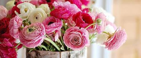 文昌贵人好吗【有文昌贵人的特征】