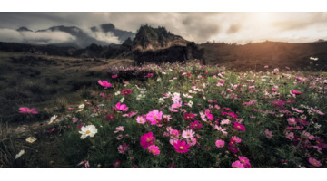 公司激励期权行权怎么操作【公司期权什么时候兑现】