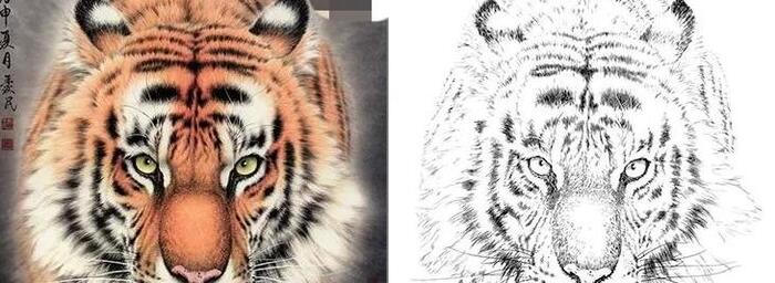 老虎线描装饰画【老虎线描图】