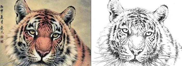 老虎线描装饰画【老虎线描图】