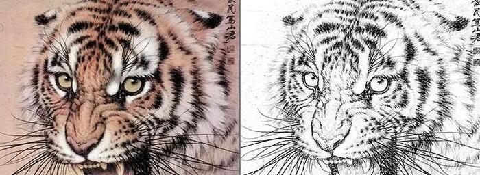 老虎线描装饰画【老虎线描图】