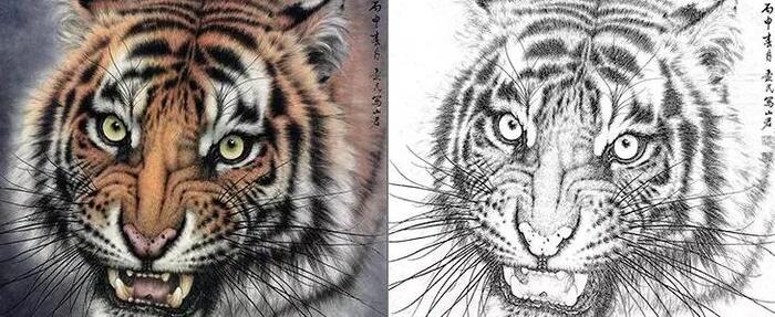 老虎线描装饰画【老虎线描图】