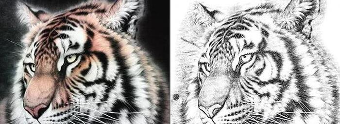 老虎线描装饰画【老虎线描图】