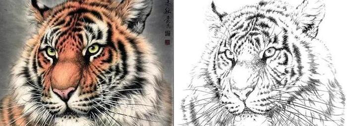 老虎线描装饰画【老虎线描图】