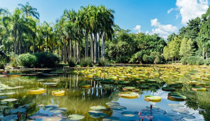 云南泼水节好玩吗【云南哪些地方过泼水节】