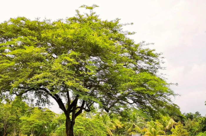 云南泼水节好玩吗【云南哪些地方过泼水节】