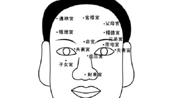 一字眉女人好不好【一字眉女人性格】