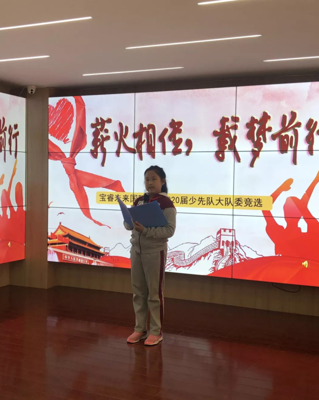 学校竞选大队委海报【竞选大队委海报模板word版】