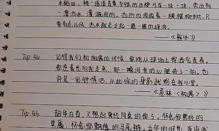 最好看的字体排行榜图片【最好看的字体是什么体】