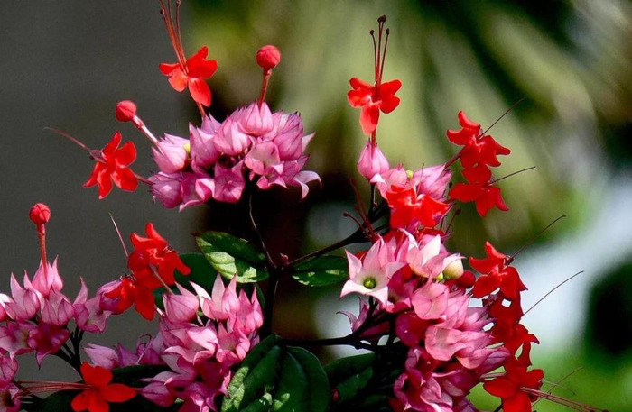 家里放一物越放越破财次在体什么位【家里放一物越放越破财龙吐珠最适宜温度】