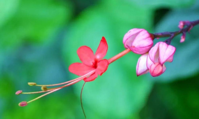 家里放一物越放越破财次在体什么位【家里放一物越放越破财龙吐珠最适宜温度】