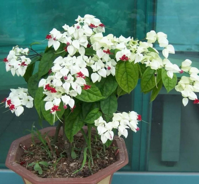 家里放一物越放越破财次在体什么位【家里放一物越放越破财龙吐珠最适宜温度】