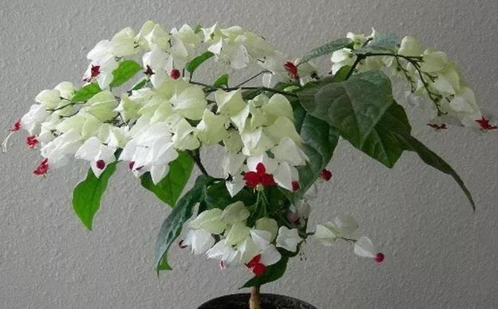 家里放一物越放越破财次在体什么位【家里放一物越放越破财龙吐珠最适宜温度】