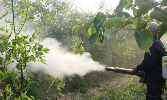 麻雀的叫声怎么写中文【麻雀的叫声怎么写出来】