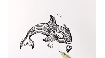 海豚简笔画图片【海豚简笔画彩色】