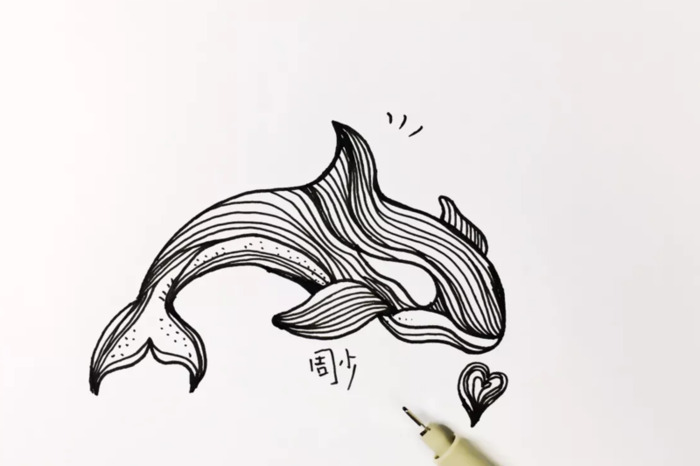 海豚简笔画图片【海豚简笔画彩色】