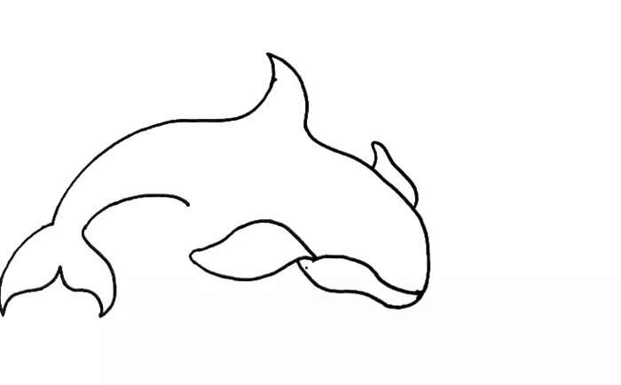 海豚简笔画图片【海豚简笔画彩色】
