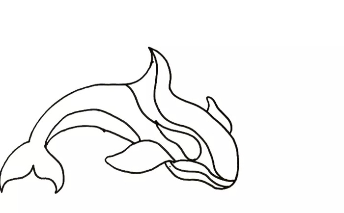 海豚简笔画图片【海豚简笔画彩色】