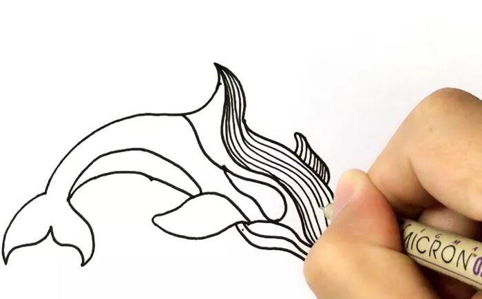 海豚简笔画图片【海豚简笔画彩色】