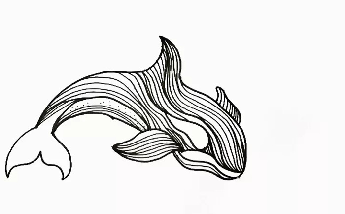 海豚简笔画图片【海豚简笔画彩色】