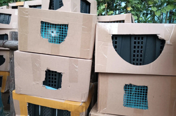 以下可以在淘宝平台发布的商品是【以下哪类商品是淘宝网淘宝禁止发布】