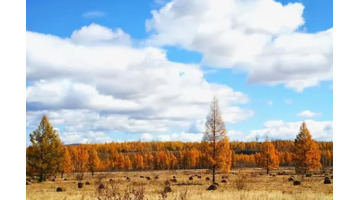 老友重逢的唯美句子说说【老友重逢的唯美句子简短】