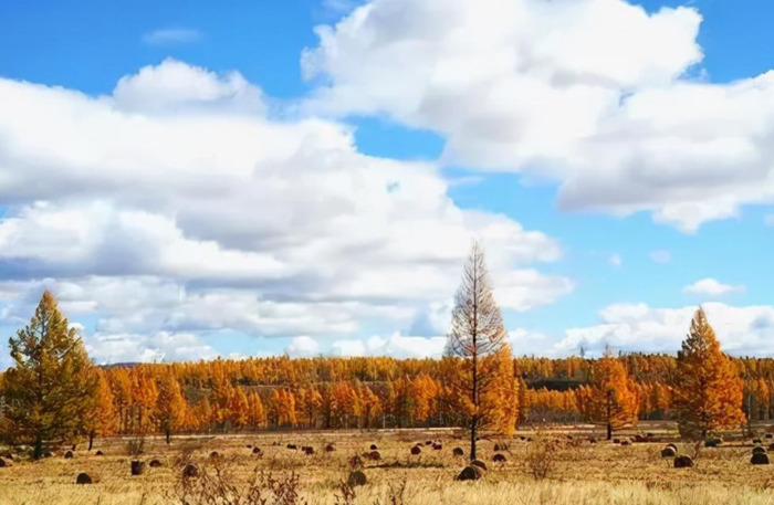 老友重逢的唯美句子说说【老友重逢的唯美句子简短】