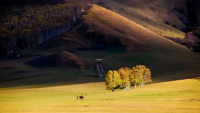 老友重逢的唯美句子说说【老友重逢的唯美句子简短】