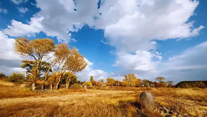 老友重逢的唯美句子说说【老友重逢的唯美句子简短】