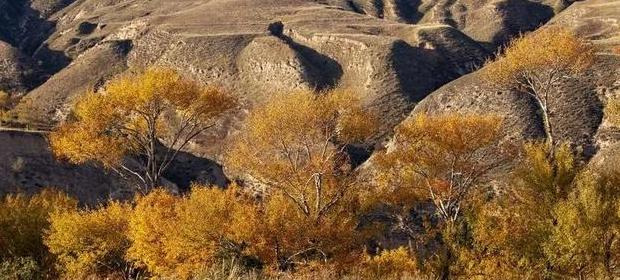 老友重逢的唯美句子说说【老友重逢的唯美句子简短】