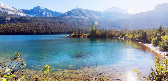 老友重逢的唯美句子说说【老友重逢的唯美句子简短】