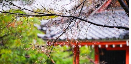 lofter大佬【lofter有哪些大神】