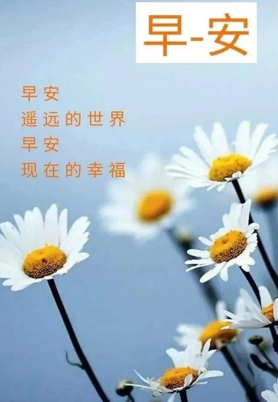 明天的句子唯美【今天,明天的句子】