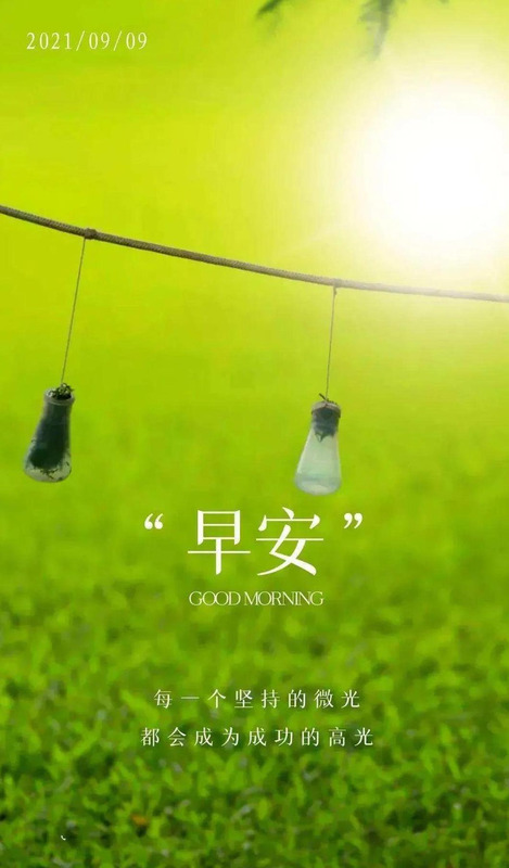 明天的句子唯美【今天,明天的句子】