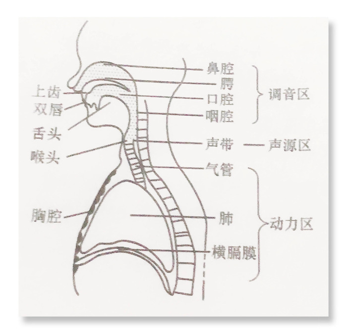 怎么做网贷催收员【把网贷催收员给打死了】