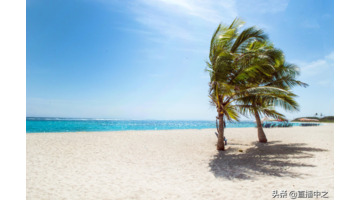 微信直播间等级1到60价格表【微信直播等级怎么算的】