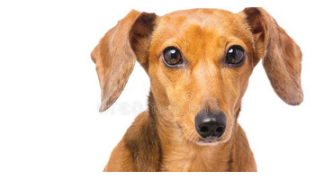 赞美教练的话怎么说【夸赞教练的话】