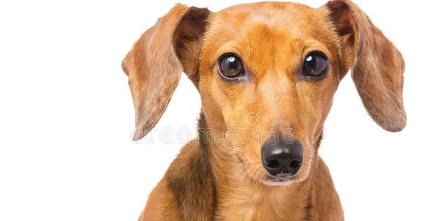 赞美教练的话怎么说【夸赞教练的话】