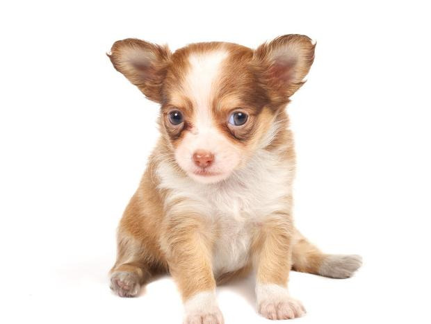 赞美教练的话怎么说【夸赞教练的话】