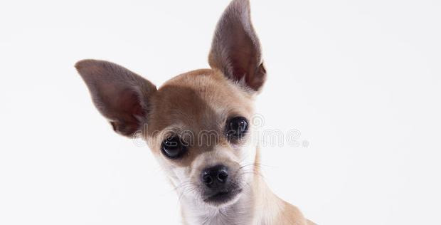 赞美教练的话怎么说【夸赞教练的话】