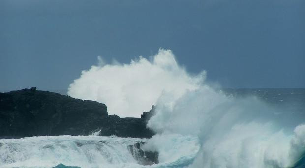 赞美教练的话怎么说【夸赞教练的话】