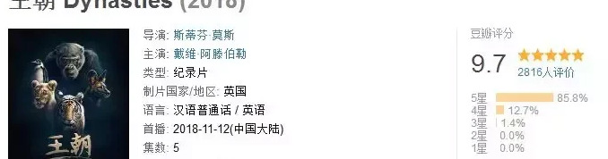 王朝豆瓣【王朝天和李露婷在一起了吗】