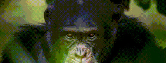 王朝豆瓣【王朝天和李露婷在一起了吗】