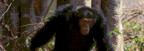 王朝豆瓣【王朝天和李露婷在一起了吗】