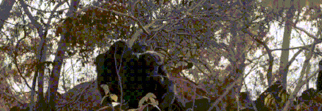 王朝豆瓣【王朝天和李露婷在一起了吗】