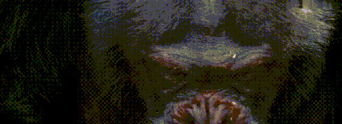 王朝豆瓣【王朝天和李露婷在一起了吗】